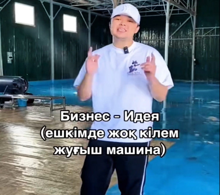 Lavagem de carpetes – um projeto promissor para startups no mercado atual.